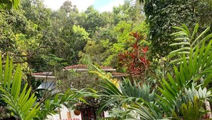 Un jardín con una piscina azul rodeada de rocas y palmeras.