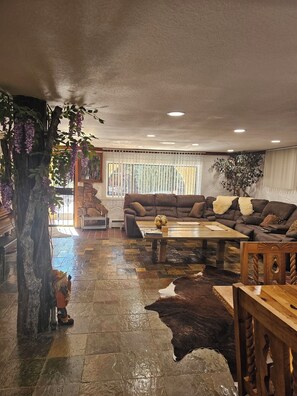 Televisión, chimenea