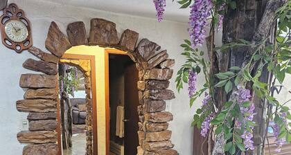 Your comfy home in Colorado Springs