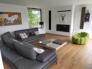 Télévision, cheminée, livres, chaîne hi-fi