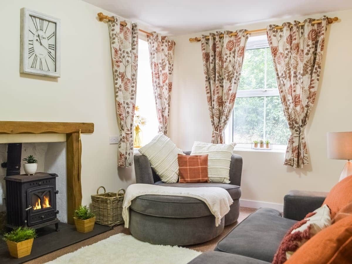 智能電視、壁爐、音樂庫