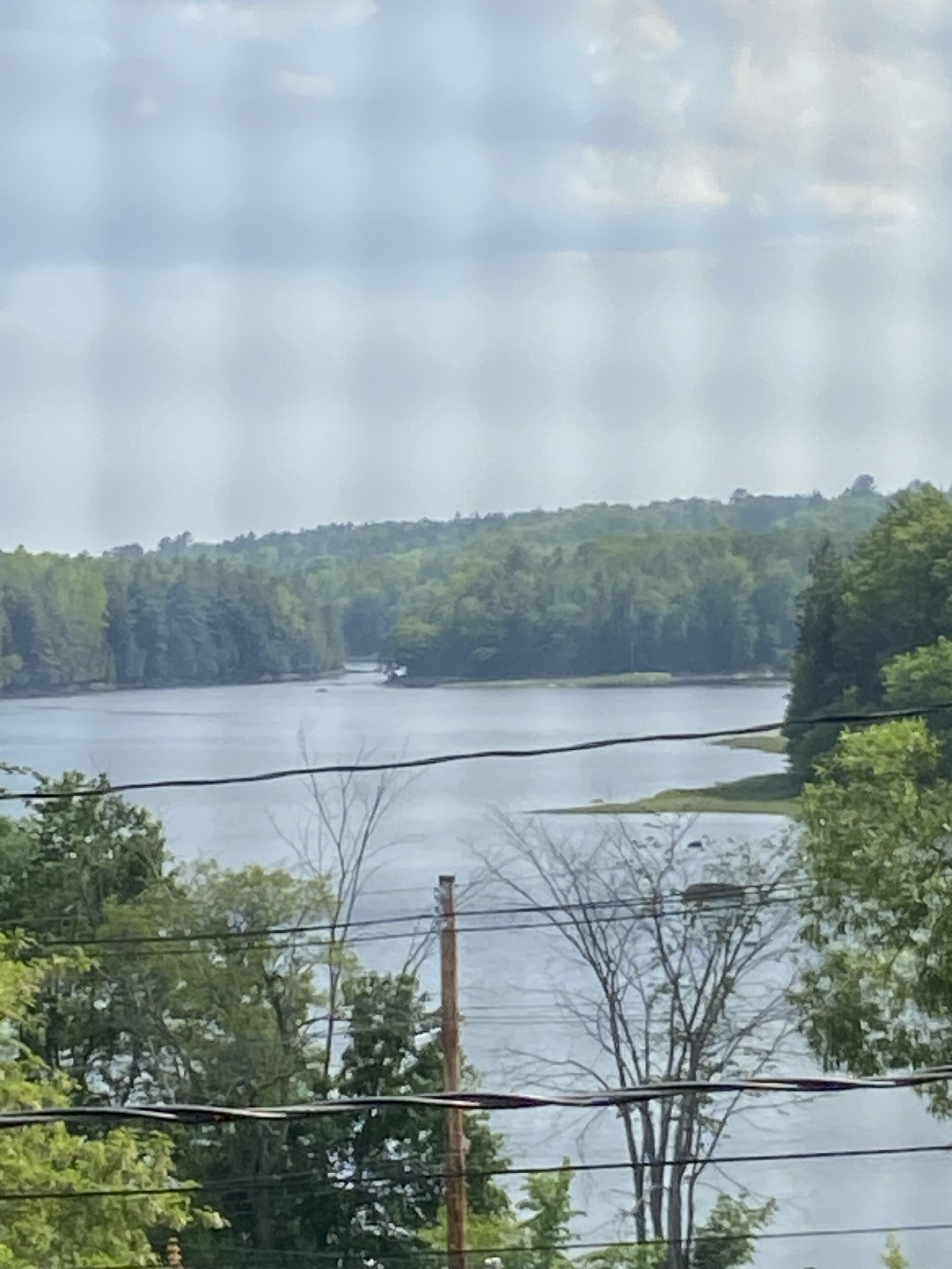 Blick auf einen Fluss mit einem bewaldeten Ufer.