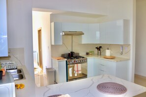 Fridge, microwave, oven, stovetop - Large 2 floor penthouse (Santo Domingo)
