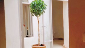 Een potplant in een deuropening met een wit interieur en een decoratieve lantaarn erboven.