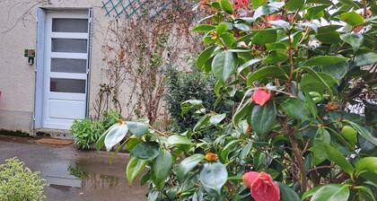 Le CAMELIA, a quiet studio in the center of town