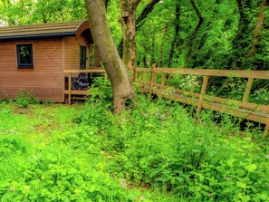 Àrea exterior de l'allotjament