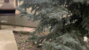 DĂ©tail de lâextĂ©rieur