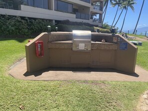 Property grounds - High rise condo on the beach and the pristine swimmable Kahana bay. (Lahaina)