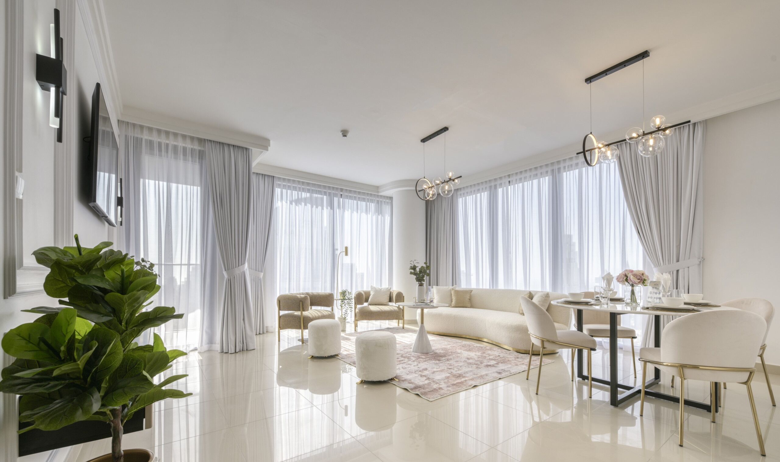 A modern living room with a sofa, chairs, a dining table, and a large plant.