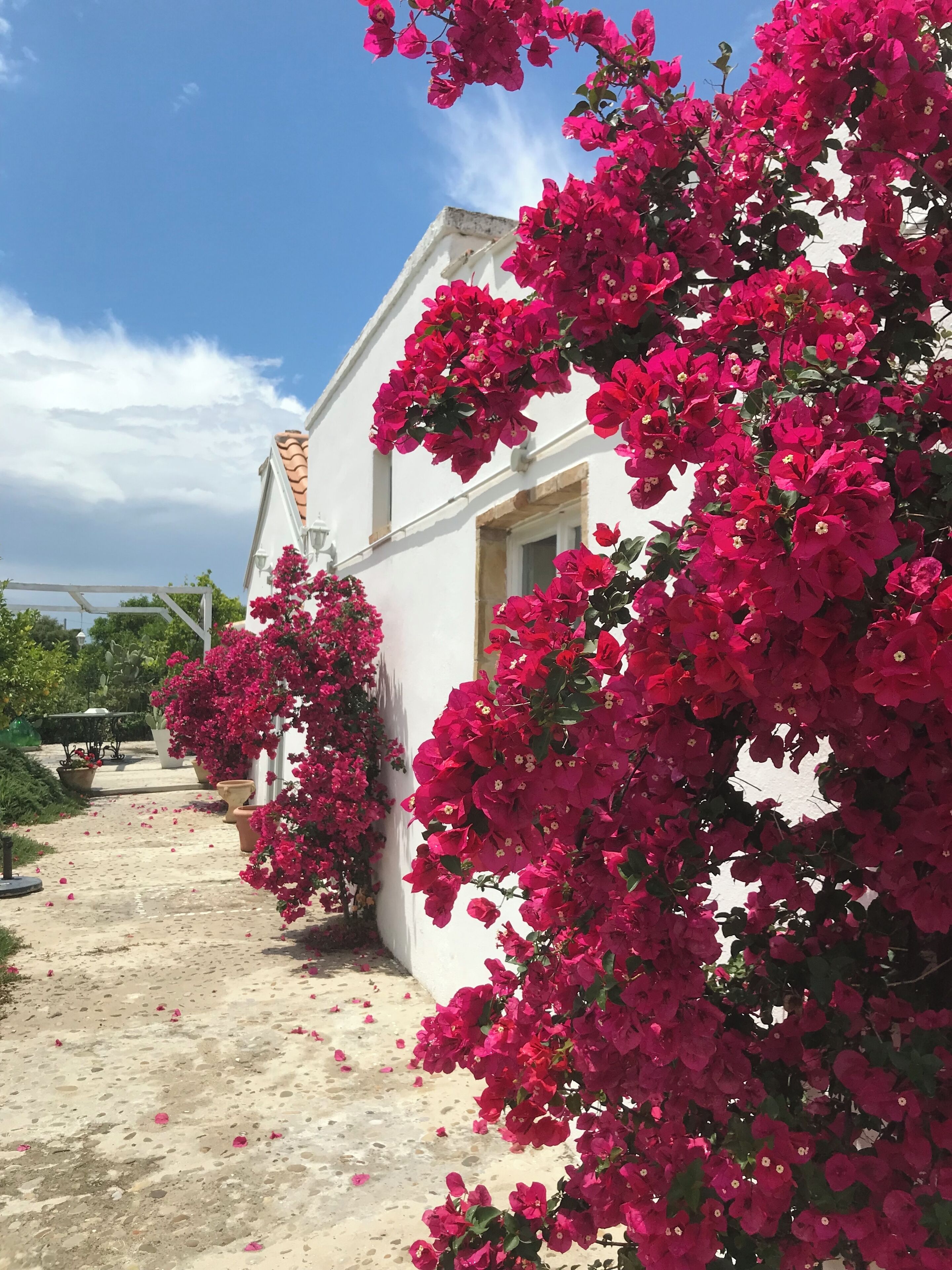 Cosy old country home. Sleeps 8 in 3 bedrooms and a sofabed and four bathrooms. 