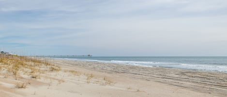 Sun-loungers, beach towels