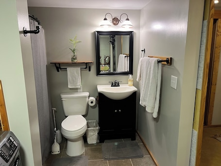 Hair dryer, towels, soap, shampoo. Private apartment in a quiet neighborhood with lots of trees and privacy.