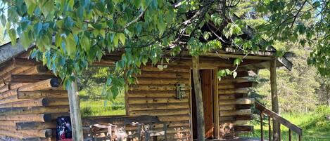 A rustic log cabin with a porch, surrounded by lush greenery.