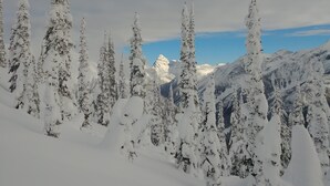 A snowy mountain landscape with tall evergreen trees and a clear sky.