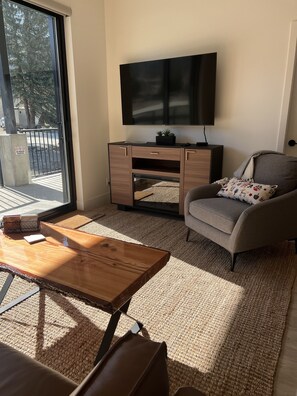 Smart TV, fireplace, books