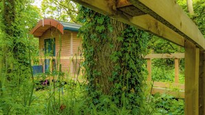 Een houten hutje, omringd door weelderige begroeiing, met een houten pergola erboven.