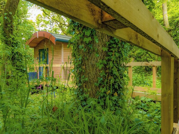 Property grounds - Woodpecker - UK43451 (Hayle)