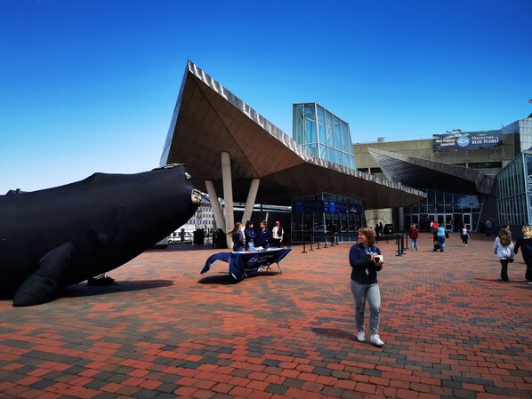 A public square with a large whale sculpture, a modern building with a glass facade, and people walking around.