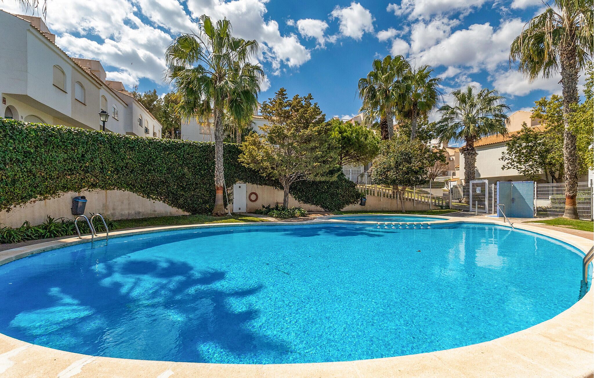 A clear blue swimming pool surrounded by palm trees and a white building with a tiled roof.