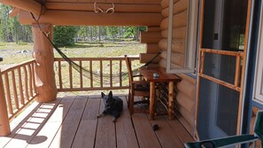 Outdoor dining - Off the grid cabin on private land surrounded by national forest. (Laramie)
