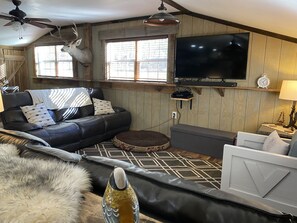 Smart TV, chimenea, reproductor de DVD y libros