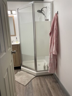 Shower, hair dryer, bidet, towels