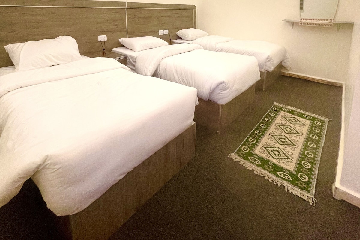 Quarto de hotel com três camas de solteiro, cabeceira de madeira, tapete verde estampado e espelho fixado na parede.