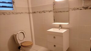 A bathroom with a toilet, a sink, and a mirror. - Between Earth and sea (Le Lamentin)