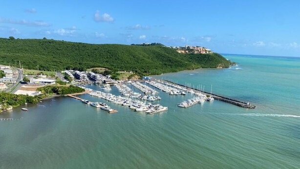 An aerial view of a marina with numerous boats docked, surrounded by lush green hills and a clear blue sky.