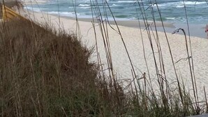 A beach with waves, a sandy shore, and tall grasses in the foreground.