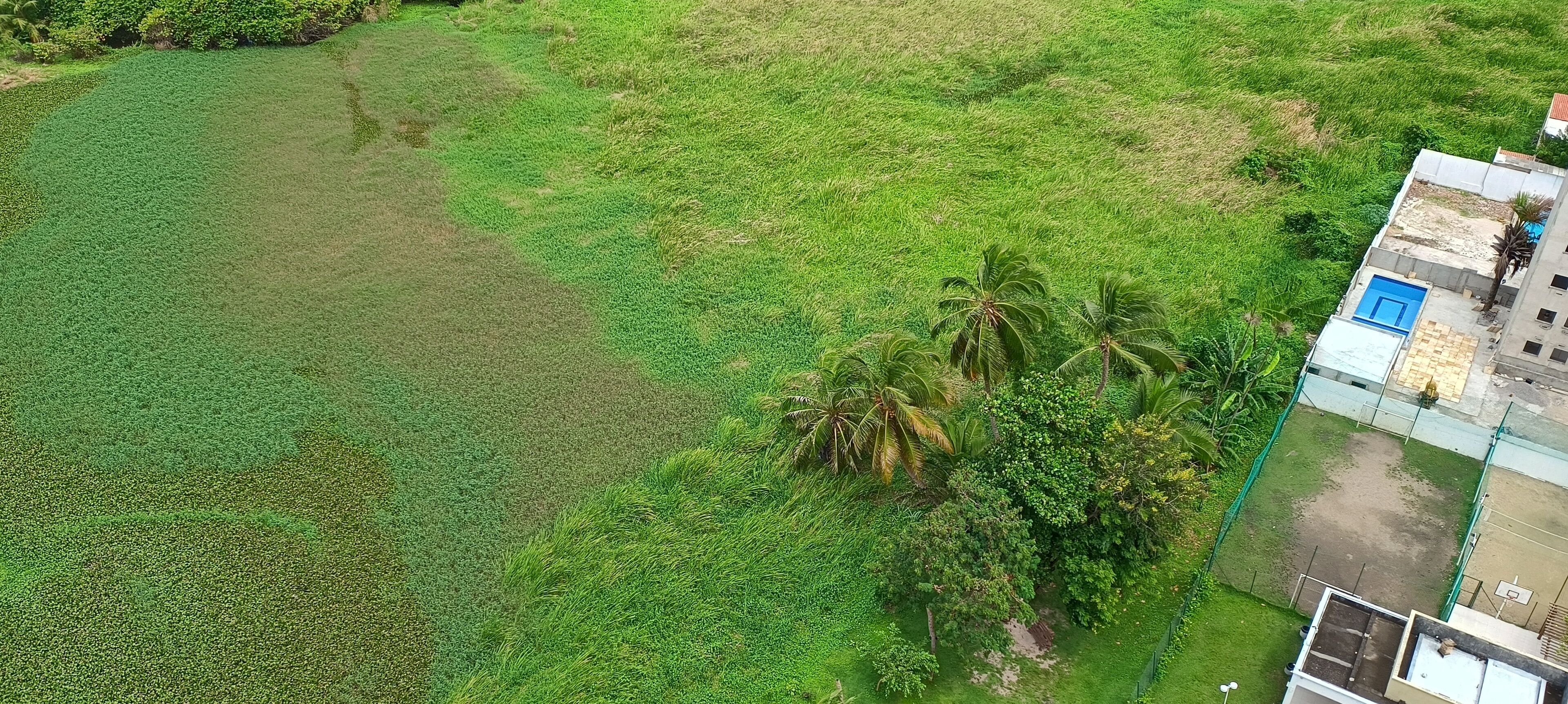 An aerial view of a green field with a building featuring a blue door and a fenced area.