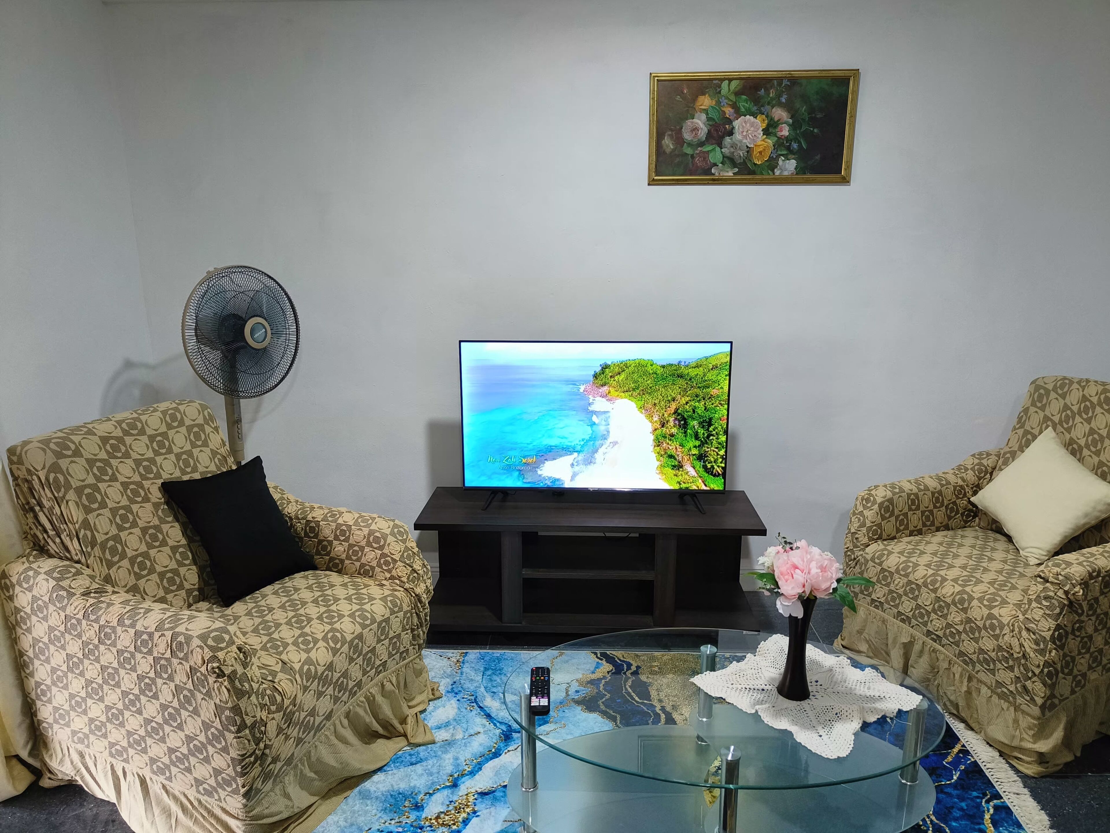 Smart TV 43 pulgadas con canales de televisión digitales, televisión