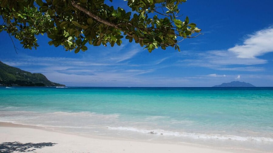 Alpha & Omega Seychelles