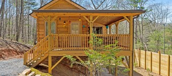 NEW Cabin 15 min to Asheville with Blue Mountain Views!