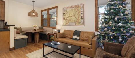 Smart TV, fireplace, DVD player, books