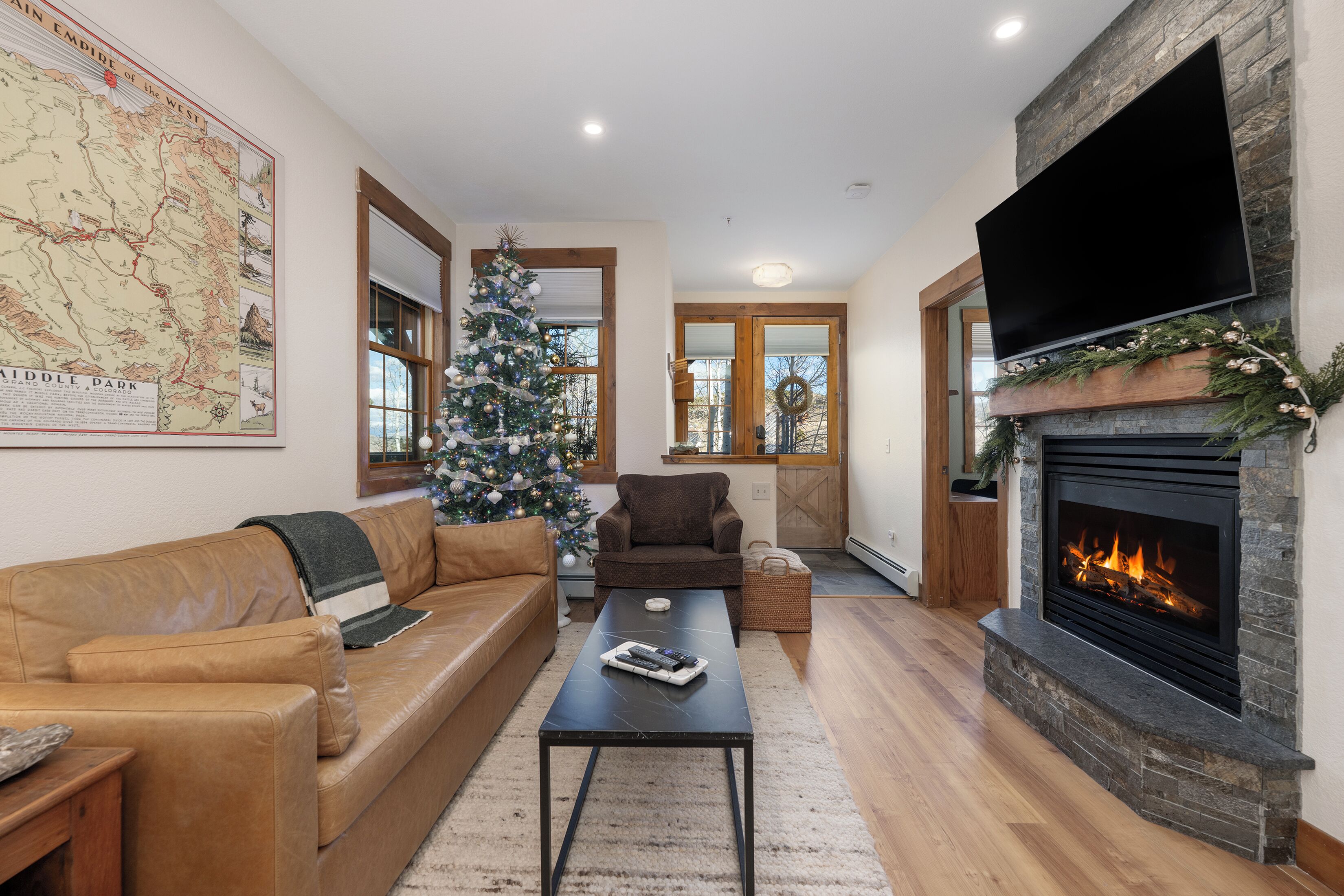 Smart TV, fireplace, DVD player, books