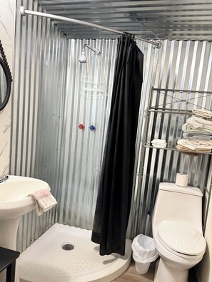 Shower, towels, toilet paper