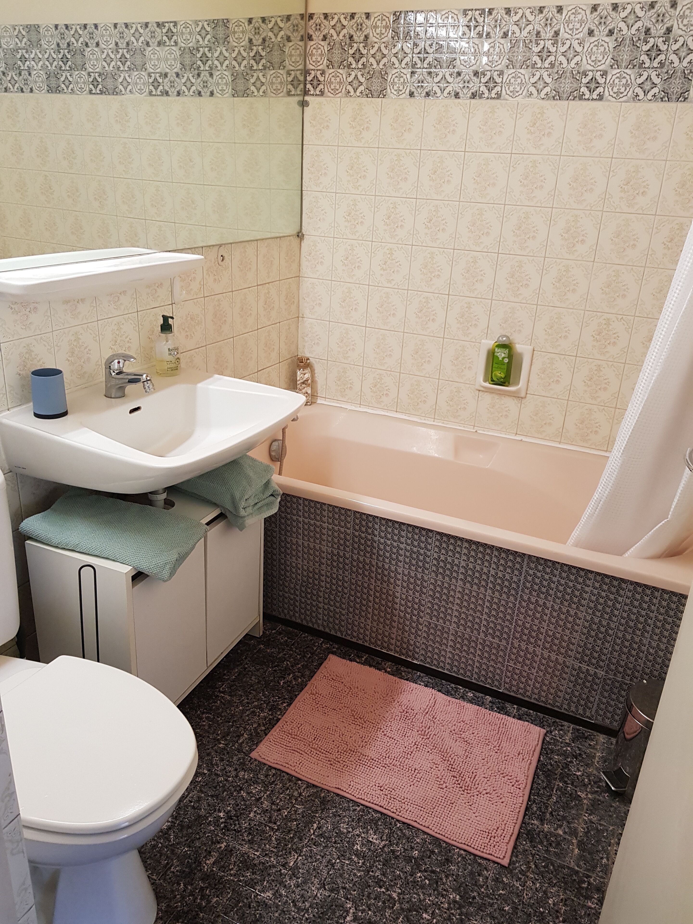 Bel appartement avec vue sur le Bargy