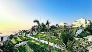 A landscaped garden with palm trees and a pathway leading to a building with a modern design.