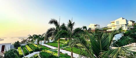 A landscaped garden with palm trees and a pathway leading to a building with a modern design.