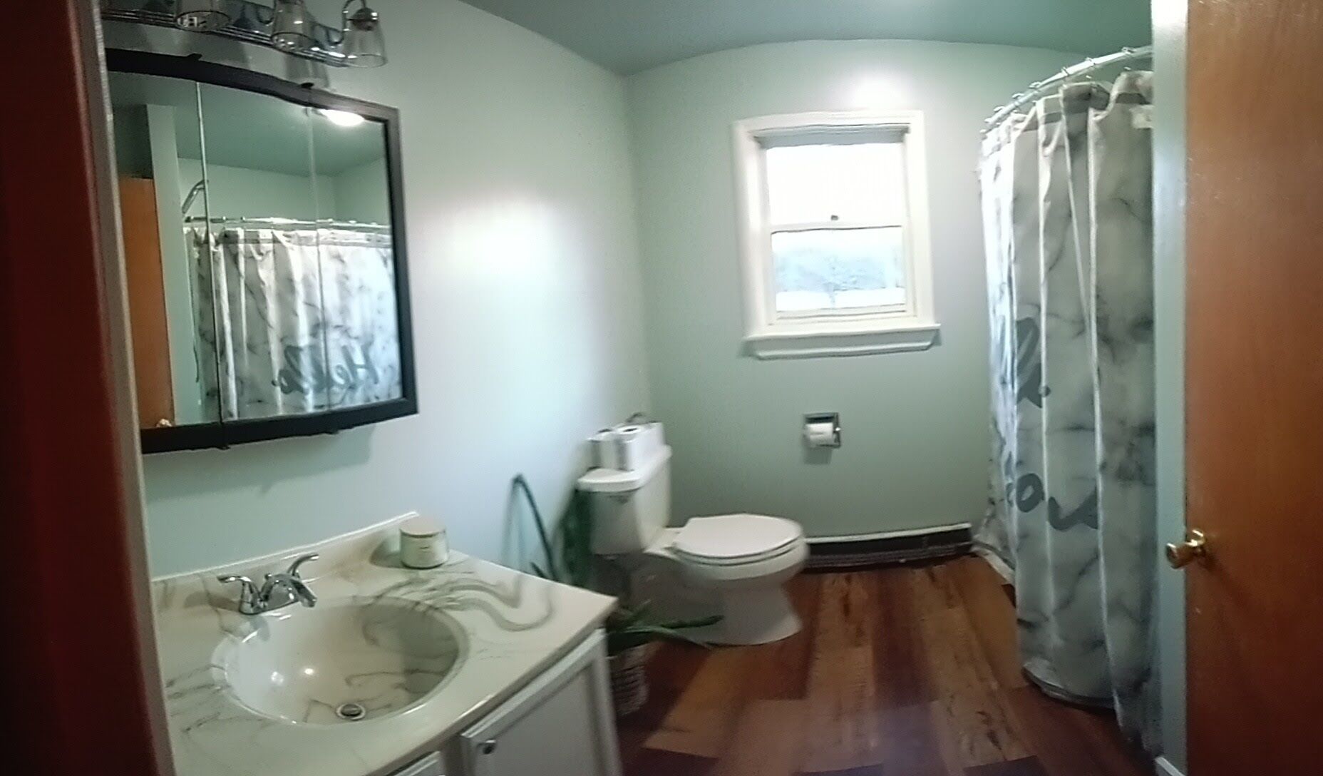 A bathroom with a sink, toilet, and shower curtain.