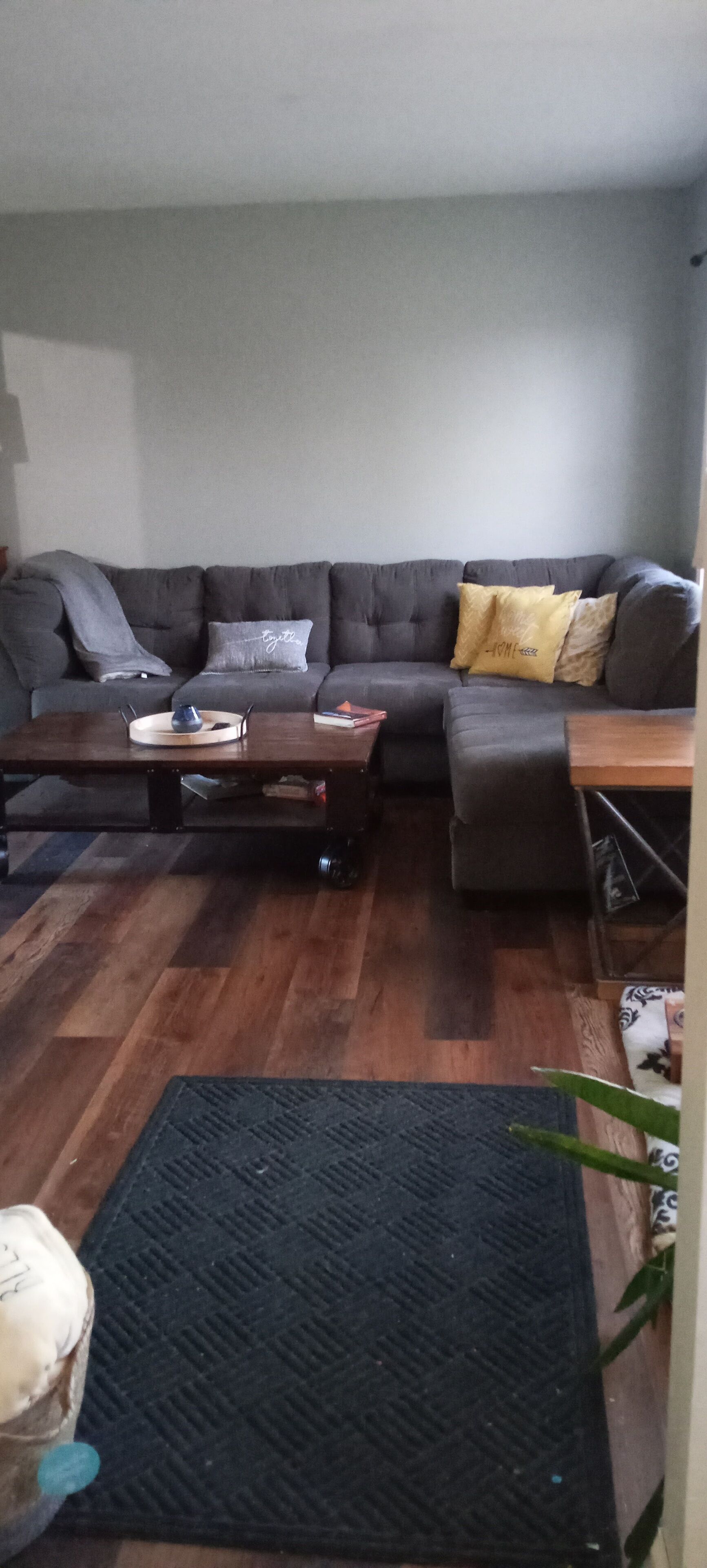 Una sala de estar con un sofá de color oscuro, una mesa de centro de madera y un tapete negro.