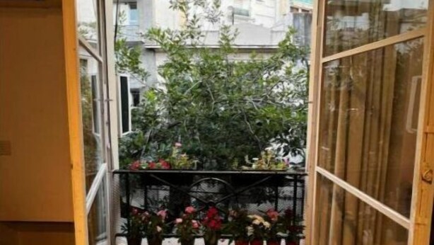 A narrow balcony with potted plants and a view of buildings. - Beautiful apartment with excellent location (Buenos Aires)