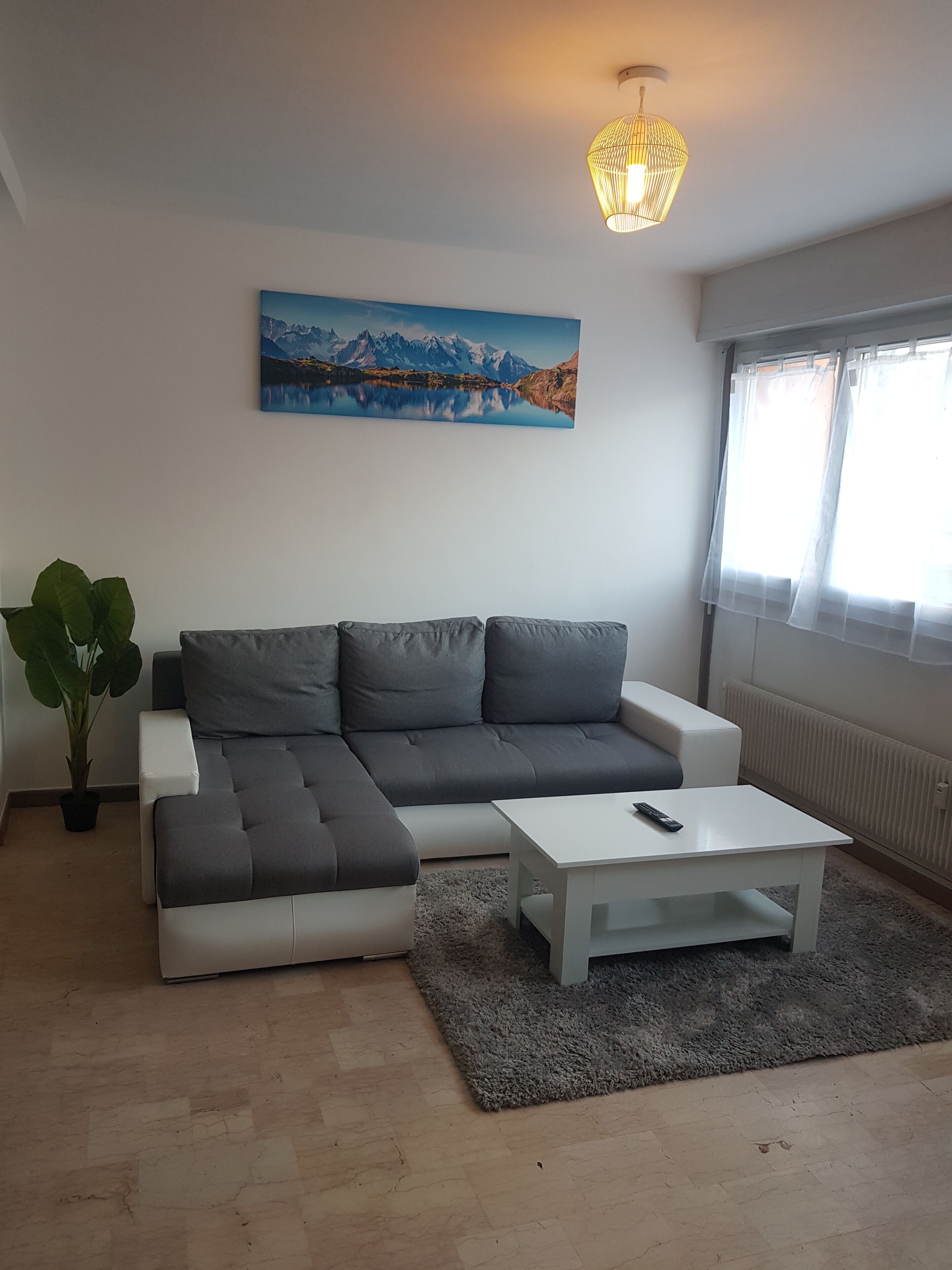 Magnifique T2 au centre ville