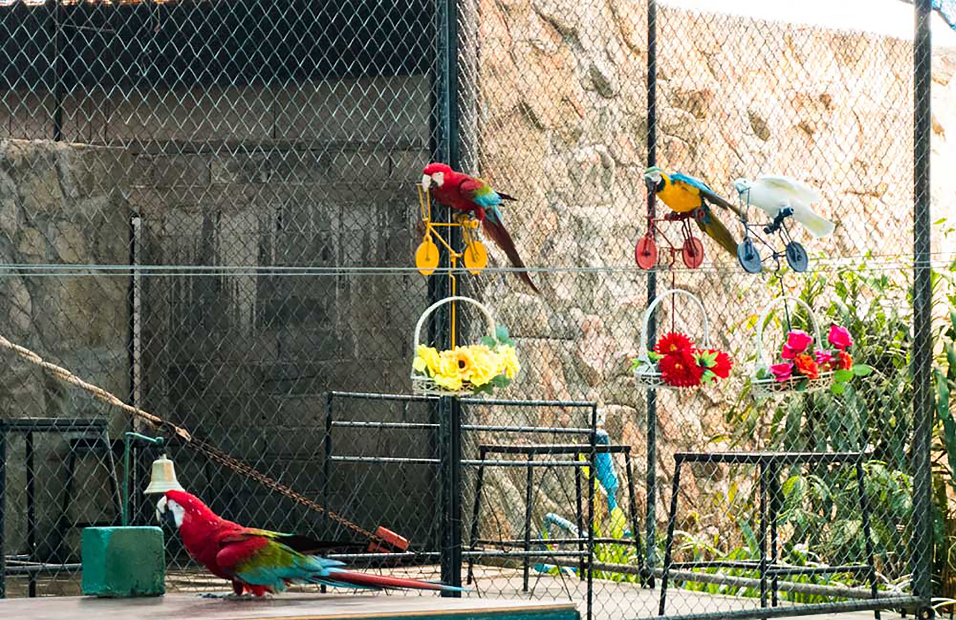 Foto - Smile Samui Chaweng Beach Front Resort