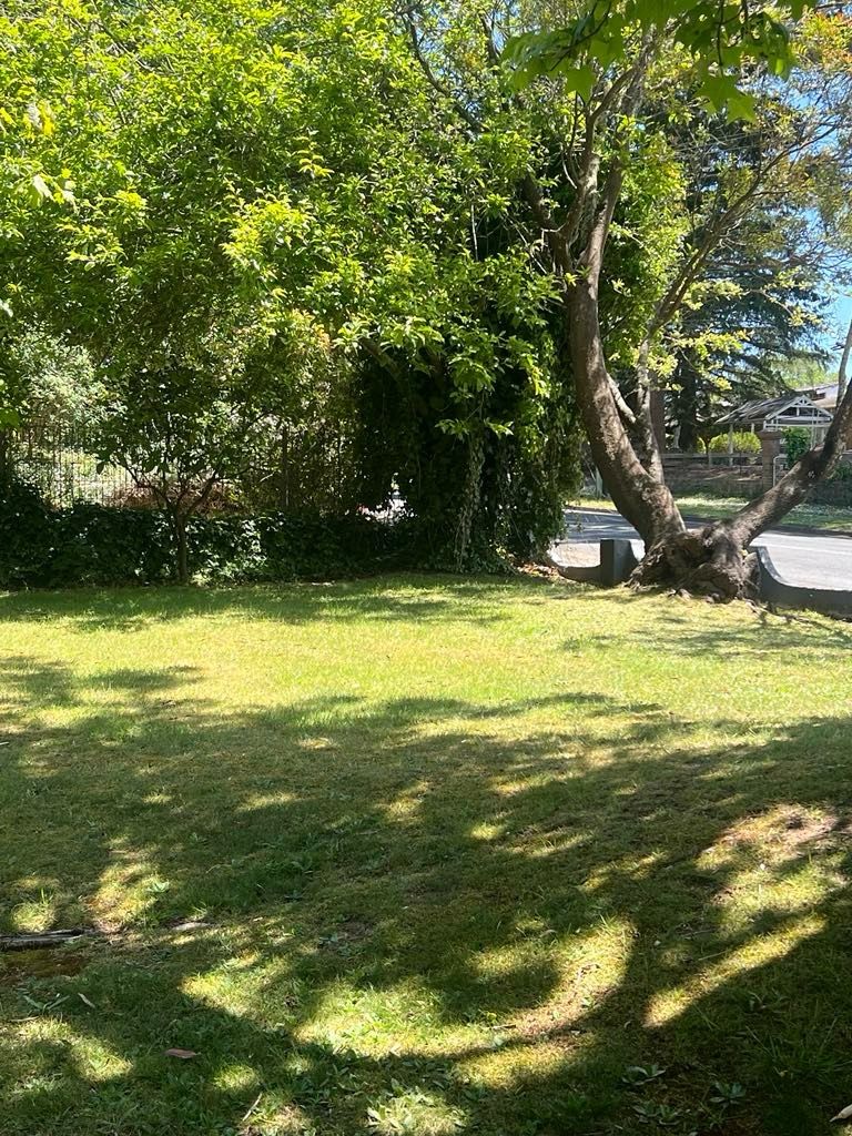 Une zone herbeuse avec un arbre et une clôture en arrière-plan.