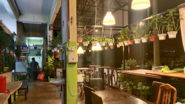 Un ristorante con piante pensili, tavoli e sedie in legno.
