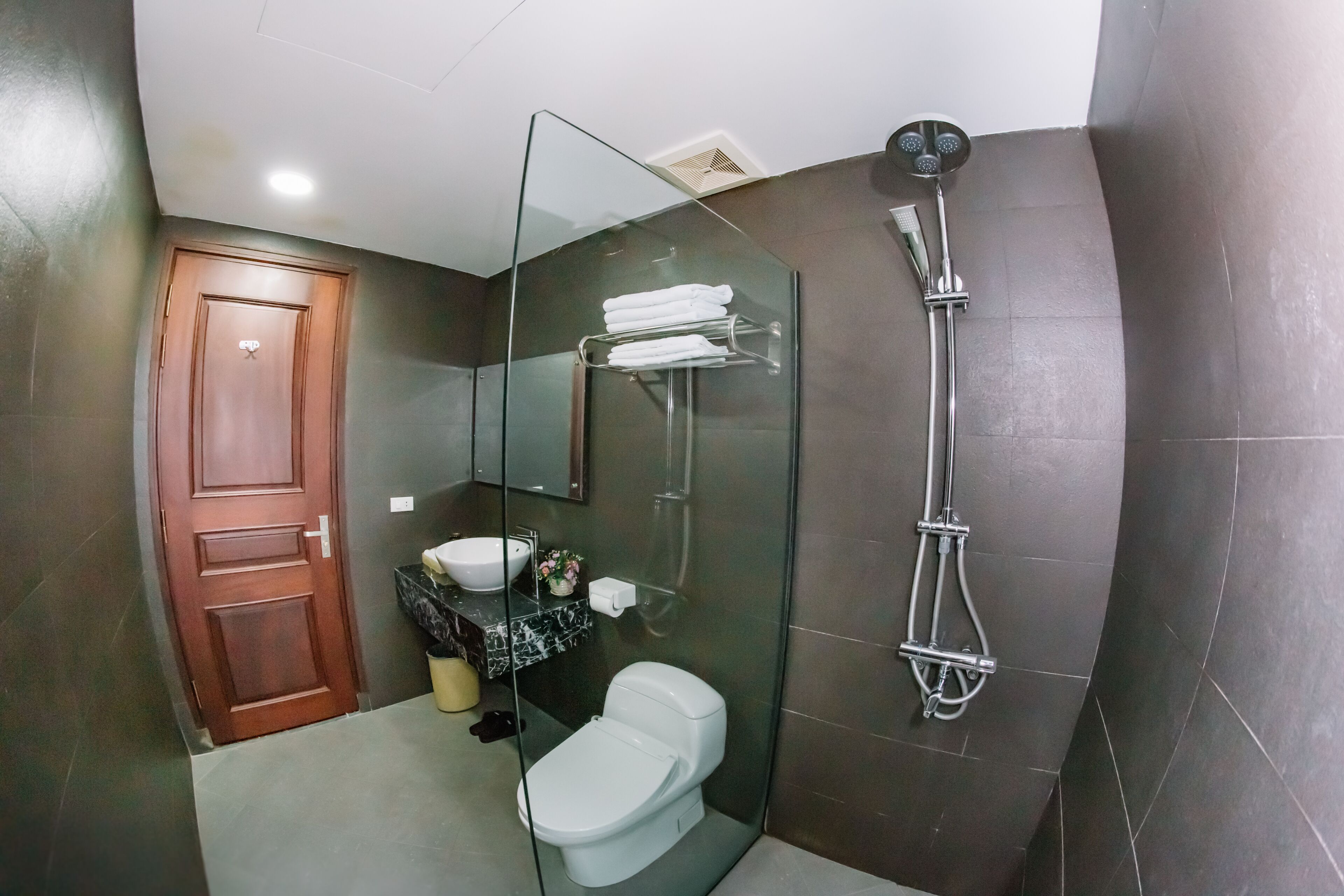 A modern bathroom with a glass-enclosed shower, a toilet, a sink, and a mirror.