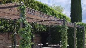 Een terras buiten met tafels en stoelen, een pergola begroeid met groen, en een hoge, slanke boom op de achtergrond.