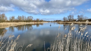 A calm river with reeds and trees in the background. - Logement Garjen (Harlingen)